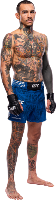 Andre Fili